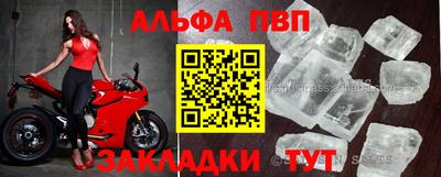 амф Гусев