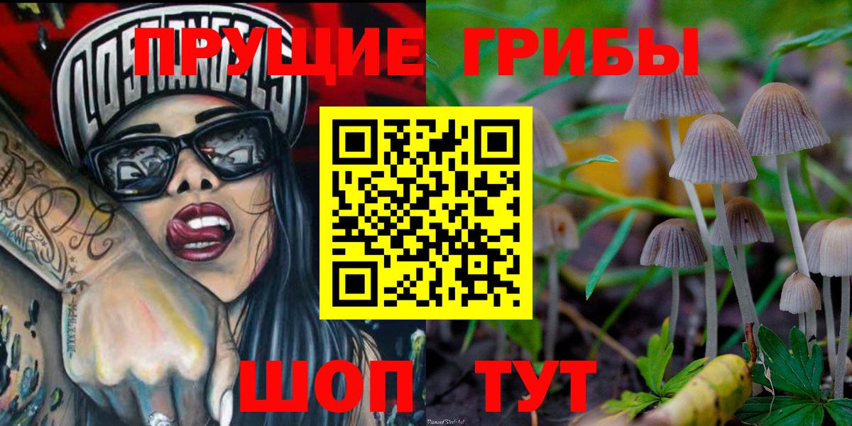 Котлас  Псилоцибиновые грибы Cubensis  Вход с VPN 