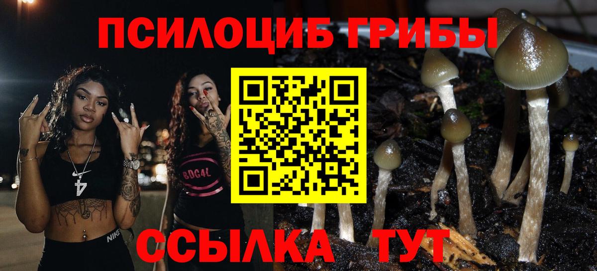 Галлюциногенные грибы прущие грибы Котлас